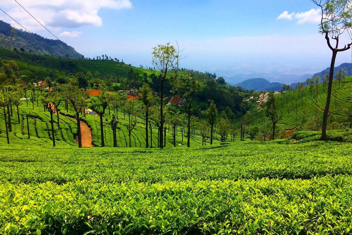 Karnataka Tour