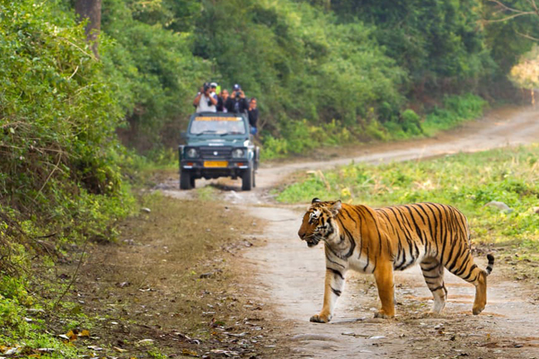 Corbett National Park